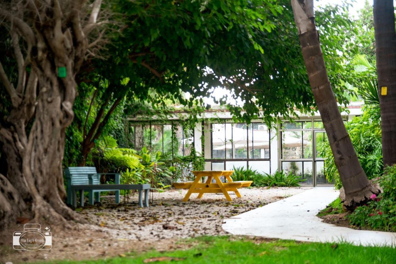 Eden Inn Zikhron Ya‘akov Eksteriør billede